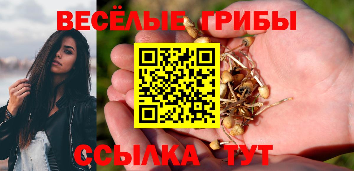 Псилоцибиновые грибы мицелий Медногорск